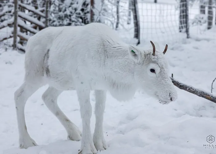 North Arctic 20a By Hilla Apartment Levi