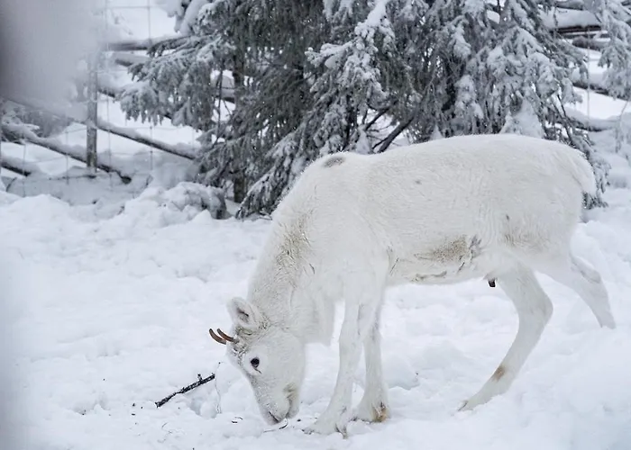 North Arctic 20a By Hilla Apartment *