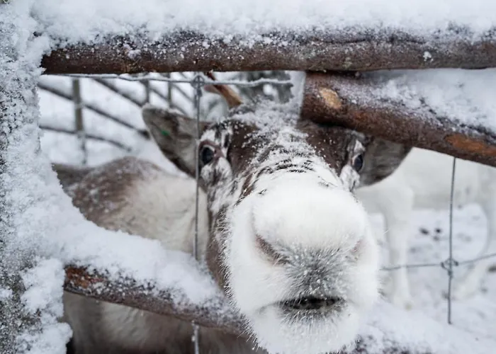 Apartment North Arctic 20a By Hilla Levi