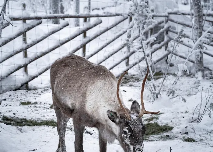 Apartment North Arctic 20a By Hilla Levi